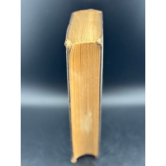 Charles Dickens "Little Dorrit - Volume I" - The Peterson's Duodecimo Edition - Picture 14 of 14